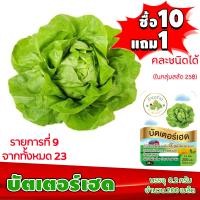 ราคา ซื้อ10แถม1 ฟรีคู่มือ เมล็ดพันธุ์ บัตเตอร์เฮด BUTTERHEAD 0 2 กรัม 200 เมล็ด ทำมะชาดฟาร์ม ผักสลัด เมล็ดพันธุ์สลัด เมล็ดสลัด เม็ดผักสลัด (2582202519)