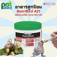 ราคา 250g แพ๊คบริษัท อาหารนก Nutribird A21 อาหารลูกป้อน อาหารนก ลูกป้อน อาหารลูกนก ของแท้ นมนก A21 สำหรับ ลูกป้อนนกแก้ว นกเลิฟเบริด์ นกค็อกคาเทล (14195477738)
