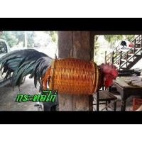 ราคา กระทอใส่ไก่ต่อซองไก่ต่อกระเป๋าใส่ไก่ที่ใส่ไก่ต่อแบบเปิดหน้าใช้ต่อไก่ป่าสานด้วยหวายเคลือบกันมอดแล้วยาว8 5นิ้วกว้างหลัง6นิ้ว (9220346470)