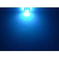 ราคา ไฟหรี่ ส่องป้ายทะเบียน MM Auto LED 12SMD ขั่วT10 สีขาว 2 ชิ้น ไฟส่องป้ายสว่างมาก 12V มี 7สีให้เลือก (13705425859)