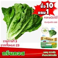 ราคา ซื้อ10แถม1 ฟรีคู่มือ เมล็ดพันธุ์ กรีนคอส GREEN COS 0 2 กรัม 200 เมล็ด ทำมะชาดฟาร์ม ผักสลัด เมล็ดพันธุ์สลัด เมล็ดสลัด เม็ดผักสลัด (2580736296)