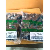 ราคา จุ๊บลมยางมาตรฐาน PACIFIC แท้ สีดำ รุ่น TR 413 เกลียวทองเหลือง แข็งแรง ทนทาน 100pcs (17301695336)