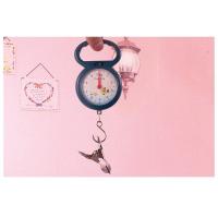 ราคา เครื่องชั่งสปริง5กก เครื่องชั่งแบบแขวน เครื่องชั่งพกพา (10495108510)