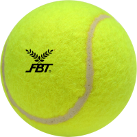 ราคา FBT ลูกเทนนิส ฝึกซ้อม ลูกเทนนิส รหัสสินค้า 52320 (10780109438)