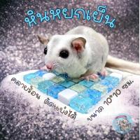 ราคา V หินหยกเย็น แผ่นเย็น แผ่นหินเย็น ที่นอนเย็น บ้านเย็น กรง แฮมสเตอร์ ชูการ์ ดอร์เมาส์ กระต่าย หนูตะเภา บุชเบบี้ (8416919934)