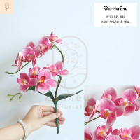ราคา ช่อกล้วยไม้ฟาแลนประดิษฐ์ รุ่น2ก้าน 8 ดอก 3 สีให้เลือก กล้วยไม้ฟาแลนปลอม ฟาแลนประดิษฐ์ ตกแต่งสวน ตกแต่งบ้าน ตกแต่งห้อง (10265690878)