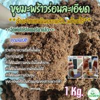 ราคา ขุยมะพร้าว ล้างสารแทนนิน Coco Peat pH 5 5 6 5 FlushTannin ฉีดพ่น ไตรโคเดอร์มา พร้อมใช้ทันทีไม่ต้องแช่เพิ่ม 5Kg 1Kg (8356651372)