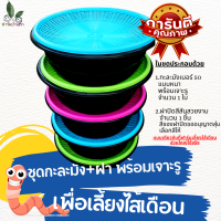 ราคา เซทกะละมังและฝาปิด ชุดกะละมังเลี้ยงไส้เดือน กะละมังเจาะรู พร้อมฝาปิด เพื่อเลี้ยงไส้เดือน อุปกรณ์เลี้ยงไส้เดือน แบบง่ายๆ (7143198925)
