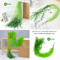 ราคา รวมต้นไม้ใบไม้ประดับช่อแขวน รุ่นยอดนิยม หลากสไตล์หลายชนิด (16293956509)