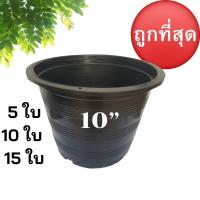 ราคา กระถางต้นไม้ 10 นิ้ว 11 นิ้ว กระถางปลูกต้นไม้ ปากกว้าง 10 3 นิ้ว 5ใบ 10ใบ 15ใบ (11453926240)