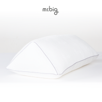 ราคา หมอนรองขา MR BIG Leg Pillow (3930748594)