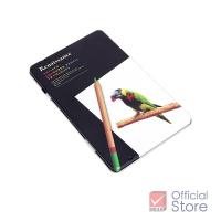 ราคา Renaissance สีไม้ ดินสอสีไม้ เกรดอาร์ตติส รุ่น 12 สี กล่องเหล็ก จำนวน 1 กล่อง (1343420033)