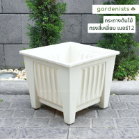 ราคา กระถางทรงลูกบาศก์ สี่เหลี่ยม 12นิ้ว กระถางพลาสติก (17471354648)