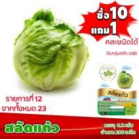 ราคา ซื้อ10แถม1 ฟรีคู่มือ เมล็ดพันธุ์ สลัดแก้ว ICEBERG 0 2 กรัม 200 เมล็ด ผักกาดแก้ว ทำมะชาดฟาร์ม ผักสลัด เมล็ดพันธุ์สลัด เมล็ดสลัด เม็ดผักสลัด (2582724640)
