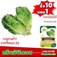 ราคา ซื้อ10แถม1 ฟรีคู่มือ เมล็ดพันธุ์ กรีนมินิคอส GREEN MINICOS 0 5กรัม ประมาณ 500เมล็ด เบบี้คอส ทำมะชาดฟาร์ม ผักสลัด เมล็ดพันธุ์สลัด เมล็ดสลัด (2489700234)