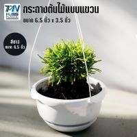 ราคา กระถางต้นไม้พลาสติกแบบแขวน พร้อมจานรอง มี 3 สี ขนาด 6 5 นิ้ว ราคาโรงงาน กระถาง กระถางต้นไม้ กระถางพลาสติก กระถางแบบแขวน TMN Hubs (3988762477)