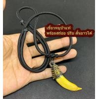 ราคา เขี้ยวหมูป่า พร้อม สร้อยพระเชือกร่ม รูดปรับสั้นยาวได้ หลวงพ่อ ไสว เขี้ยวหมูป่าแท้ แคล้วคลาด กันภัย แถมฟรี ผ้ายันต์ ท้าวเวสสุวรรณ (7803753063)