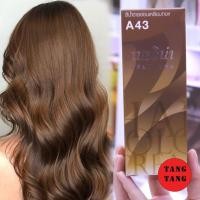 ราคา Berina Hair Color A43 สีน้ำตาลอ่อนเหลือบทอง สีผมเบอริน่า เปล่งประกาย ติดทนนาน ครีมเปลี่ยนสีผม สีแฟชั่น ปริมาณ 60 ml (18097027500)