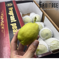 ราคา สาลี่หอม Fragrant Pear 1ลูก CHN นำเข้า ลดพิเศษ หอม หวาน อร่อย ผลไม้นำเข้า ผลไม้เมืองนอก ผลไม้นอก อาหารเจ อาหารมังสวิรัติ สาลี่จีน Chinese Pear (1927994061)