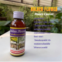 ราคา Plants Center พร้อมส่ง Golden flowers ยากันรา ยาเร่งราก ยากันแมลง ราสนิม เร่งดอก ปุ๋ย แคคตัส กระบองเพชร ป้องกันแมลง ชนิดน้ำ 100 250 CC (13648279970)