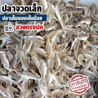 ราคา ปลาจวดเล็ก ปลาจวดตัดหัว ปลาเค็มชนิดไม่เค็มมาก 300กรัม ทอดกรอบอร่อย ปลาจวด ปลาจวดเค็ม ปลาจวดแดดเดียว ปลาเค็ม ของทะเลแห้ง อาหารทะเลฮาลาล (13298789683)