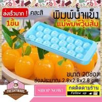 ราคา Best Deal แม่พิมพ์วุ้นส้ม 2 8 CM 20 ช่อง ลูกแก้ว บอลกลม พิมพ์น้ำแข็ง ice ball mold พิมพ์ลูกแก้ว พลาสติก พิมพ์วุ้นลูกแก้ว พิมพ์ส้ม (5028126678)