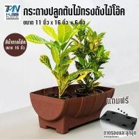 ราคา กระถางปลูกต้นไม้พลาสติก ทรงถังไม้โอ๊ค ขนาด11 x6 พร้อมถาดรองในและจุกอุดกันน้ำรั่วสำหรับปลูกในอาคาร กระถางพลาสติก กระถางต้นไม้ TMN Hubs (6156574982)