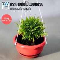 ราคา กระถางต้นไม้พลาสติกแบบแขวน พร้อมจานรอง มี 3 สี ขนาด 6 5 นิ้ว ราคาโรงงาน กระถาง กระถางต้นไม้ กระถางพลาสติก กระถางแบบแขวน TMN Hubs (6750224666)