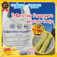 ราคา โรตีสายไหมครูนุสรา สูตรแป้งนิ่ม โรตีสายไหมอยุธยา ของแท้ 100 จัดส่งทุกวันทั่วประเทศ ซีลแป้ง (13667435214)