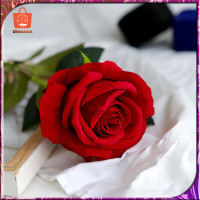 ราคา ดอกไม้ กุหลาบ ไม้ประดิษฐ์ดอกกุหลาบ Rose ดอกกุหลาบช่อยาว ดอก ไม้ตกแต่งบ้านดอกกุหลาบ ดอกไม้ปลอม ดอกไม้ประดิษฐ์ ดอกกุหลาบปลอม ดอก (10768490051)
