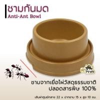 ราคา Anti Ant Bowl ชามกันมด ชามหมา ชามไม้เยื่อไผ่อย่างดี ชามหล่อน้ำกันมด ชามข้าวหมา ชามข้าวแมว (1886650876)