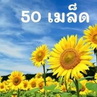 ราคา เมล็ดพันธุ์ ดอกทานตะวัน Sun flower seed ต้นสูงดอกใหญ่ 200 เมล็ด เมล็ดพันธุ์แท้นำเข้าจากต่างประเทศ ซื้อ 5 แถม 1 (6106332430)
