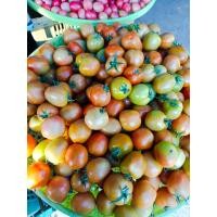 ราคา มะเขือเทศลูกใหญ่ มะเขือเทศท้อสด ลูกแดงๆๆสวยๆๆ 1กิโลกรัม (16226312417)