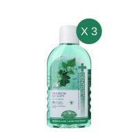 ราคา แพ็ค 3ชิ้น Dentiste Oral Rinse น้ำยาบ้วนปาก ลดกลิ่นปากและแบคทีเรีย ส่วนผสมจากธรรมชาติ ขนาด 450ML เดนทิสเต้ (9572459043)