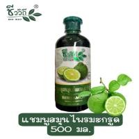 ราคา ชีววิถี แชมพูสมุนไพรมะกรูด 500 มล Bio Way BERGAMOT HERBAL SHAMPOO 500 ml (12449437724)