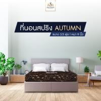 ราคา Solomon mattress ที่นอนสปริงผ้าจีนน้ำตาล รุ่น Autumn หนา 9 นิ้ว (10534170809)