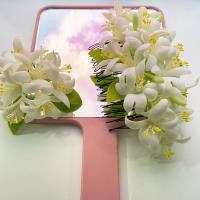 ราคา หวีสับดอกไม้ดินปั้น clay flower comb (2905408099)