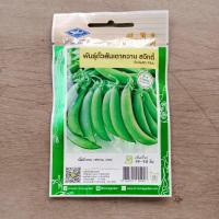 ราคา ถั่วลันเตาหวาน สวีทตี้ 45 เมล็ด ฝักหนา รสหวาน กรอบ เมล็ดพันธุ์ ถั่วลันเตา หวาน ตรา เจียไต๋ เมล็ดถั่วลันเตา (18471415087)