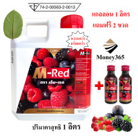 ราคา ส่งฟรี แพ็ค แกลลอน 1 ลิตร แถมฟรี 2 ขวด M Red เอ็ม เรด น้ำหวานกลิ่นผลไม้รวมเข้มข้น บรรจุ 1 ลิตร (18933604285)