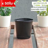 ราคา กระถางพลาสติก กระถางต้นไม้ 2 5นิ้ว 50ใบ (12096219862)