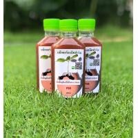 ราคา จุลินทรีย์แสง จุลินทรีย์สังเคราะห์แสงเข้มข้น หัวเชื้อ PSB ปุ๋ยน้ำ เสริม ปุ๋ยab ปุ๋ยอินทรีย์ ไฮโดรโปนิกส์ 200 cc (8447610493)