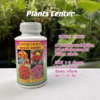 ราคา Plants Center พร้อมส่ง ปุ๋ยแคคตัส ปุ๋ยกระบองเพชร ปุ๋ยน้ำ 4 สูตร 250CC เนเจอร์ อัลฟ่า บลูม แคคตัสพลัส สำหรับบำรุงต้น เร่งดอก หนาม ทุกสายพันธุ์ (9602655864)