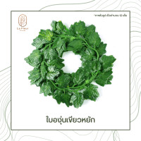 ราคา เถาวัลย์ใบไม้ปลอม ใบไม้ประดิษฐ์ ยาว 220 ซม พวงใบไม้ พวงเถาวัลย์ประดิษฐ์ ใบองุ่น พลูด่าง ใบเมเปิ้ล ใบแตงโม ประดิษฐ์ ตกแต่งบ้าน ตกแต่งสวน (7472016769)