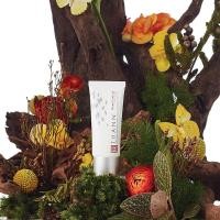 ราคา Aromatic Wood Hand Cream with Organic Rose Water Organic Coconut and Organic Argan Oils 40 g (11295437220)