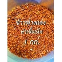 ราคา ข้าวฟ่างแดงดิบ สำหรับทำเชื้อเห็ด เก็บใหม่ ๆ ฤดูกาลนี้ น้ำหนัก 1 กก (18345179525)
