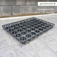 ราคา ถาดหลุมกล้วยไม้ ขนาด 2 นิ้ว ขายปลีก1ชิ้น (19177600799)