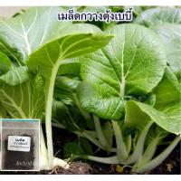 ราคา กวางตุ้งเบบี้ต้นขาว 300 500 เมล็ด 10 เเถม 1 (4155930867)