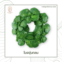 ราคา เถาวัลย์ใบไม้ปลอม ใบไม้ประดิษฐ์ ยาว 220 ซม พวงใบไม้ พวงเถาวัลย์ประดิษฐ์ ใบองุ่น พลูด่าง ใบเมเปิ้ล ใบแตงโม ประดิษฐ์ ตกแต่งบ้าน ตกแต่งสวน (7472016762)