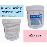 ราคา แบ่งขาย ยาบำรุงสำหรับนกพิราบแข่ง ไก่ชน ยาบำรุง พร้อมส่ง (15342262607)