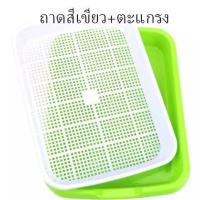 ราคา ถาดเพาะต้นอ่อนไร้ดิน ถาดเพาะ กับ ฝาปิด แยกขายนะ ถาดเพาะ ปลูกทานตะวัน ถั่วงอก ไม่มีดินก็สามารถปลูกผักได้ ถาดปลูก ฝาปิด (18044466285)